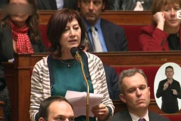 La députée écologiste Danielle Auroi lors des questions au gouvernement