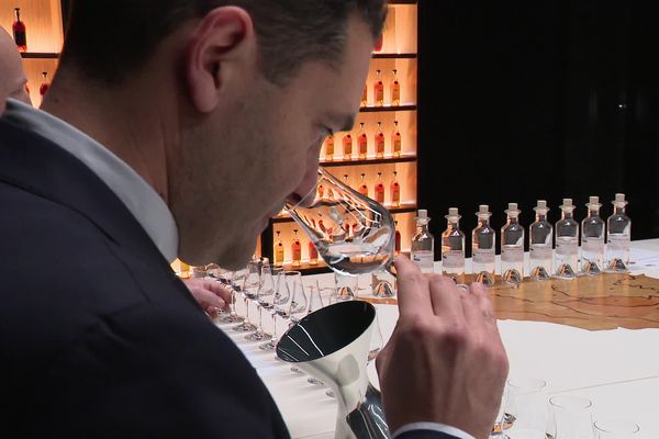 Atelier dégustation par le responsable des vignobles d'une grande maison de cognac