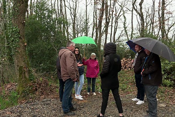 Le Bois de Bellevigny, en Vendée, est voué à la destruction, les riverains mobilisés