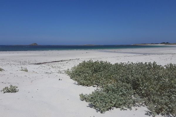 La plage de Tréompan sur la commune de Ploudalmézeau ouverte cette année après avoir été fermée à titre conservatoire en 2018 pour éviter une fermeture définitive