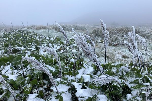 Mercredi 20 novembre, des giboulées de neige sont attendues en Auvergne.