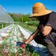 Lucas est venu aider un ami agriculteur à Villeneuve-Loubet ce vendredi matin.