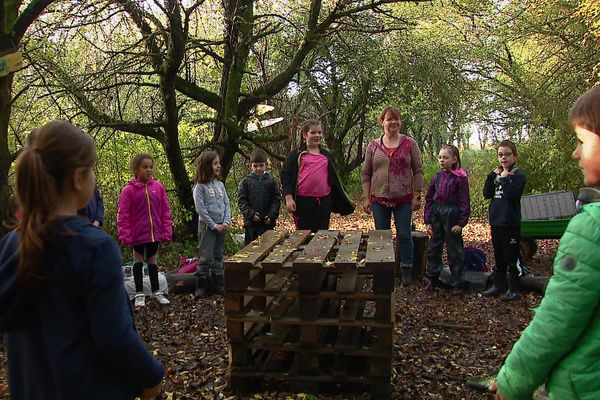 L'école dans les bois à Cissé