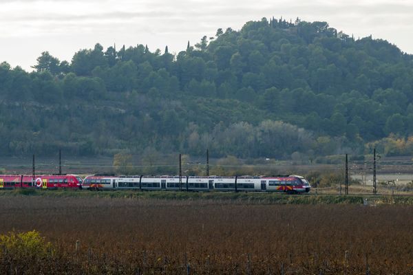 Un TER a percuté un véhicule abandonné sur la voie ferrée, près de Toulouse. La collision n'a fait aucune victime