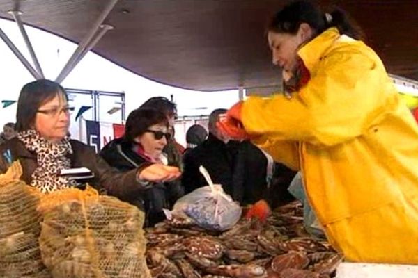 La coquille s'échangeait à 4 euros le kilo ce samedi à Ouistreham