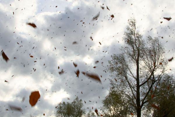 Météo France a lancé une alerte orange vents violents sur les départements de la Gironde, la Charente, la Vienne et des Deux-Sèvres.