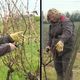 Les petits viticulteurs girondins taillent leur vigne en espérant des jours meilleurs.