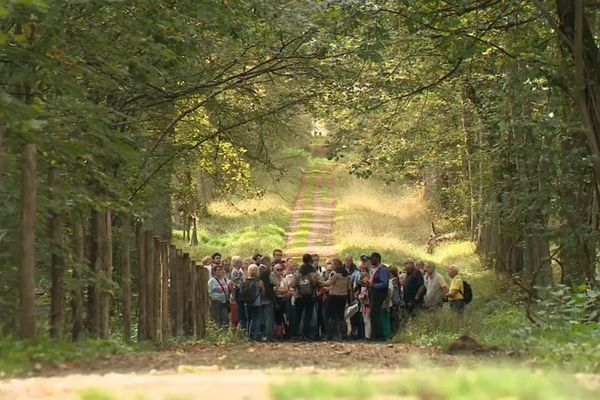 Le bois Saint-Martin s'étend sur 280 hectares