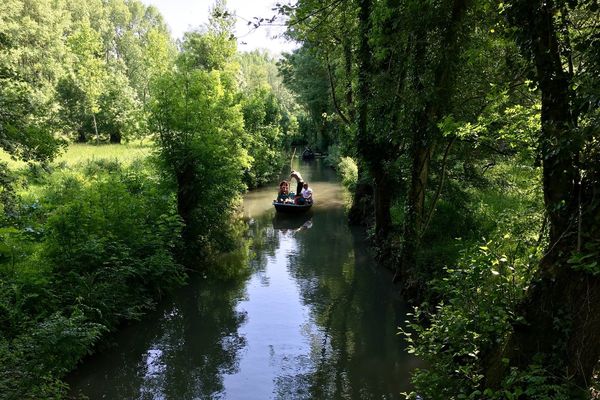 Le Marais poitevin baigné de soleil. 