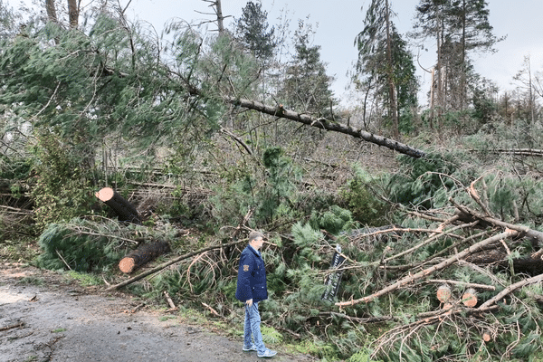 Le maire de Saint-Patrice-de-Claids Jean Luc Launey en plein désarroi devant la forêt communale dévastée.