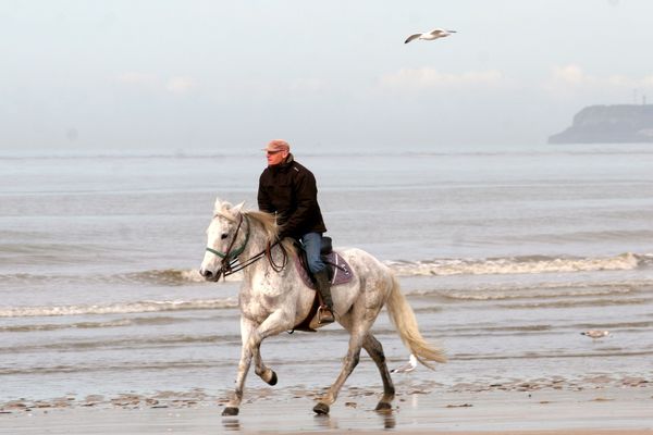 Archives, un cheval au galop sur la plage de Deauville