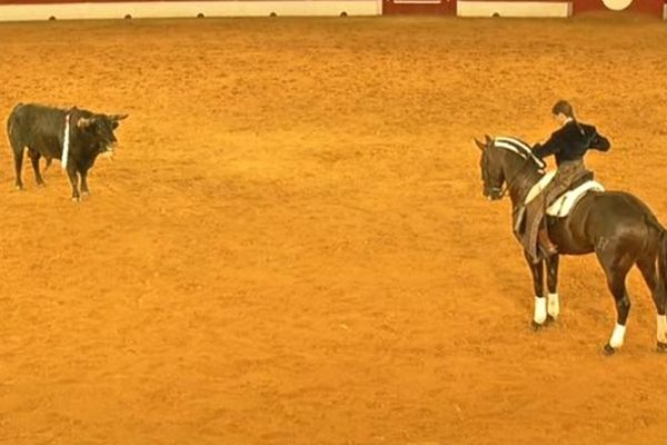 Léa Vicens, le vendredi 20 juillet dans les arènes de Plumaçon à Mont-de-Marsan