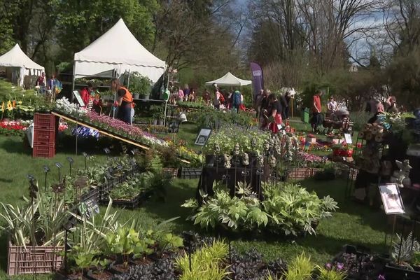 Week-end plantes au jardin botanique de Mulhouse.