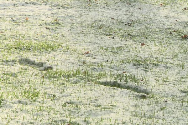 La tempête Diego promet ce vendredi 08 avril 2022 beaucoup de pluie, mais aussi quelques flocons de neige en Normandie.