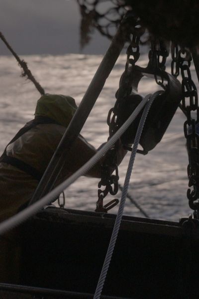 Pointée du doigt par de nombreuses associations environnementales, la pêche au chalut fait face à une multiplication des interdictions de pêche dans différentes zones comme le Golfe de Gascogne et les aires marines protégées.