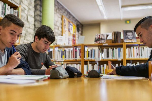 Lucas, Benoît et Quentin Rodrigues, des triplés en pleine révision du bac 
