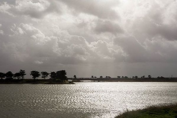 Le polder de Sébastopol à Noirmoutier