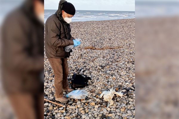 Recenser et autopsier les oiseaux morts permet de mieux analyser l'état du milieu marin. Chaque année, Picardie Nature réalise sept passages durant l'hiver sur une partie de la côte samarienne.