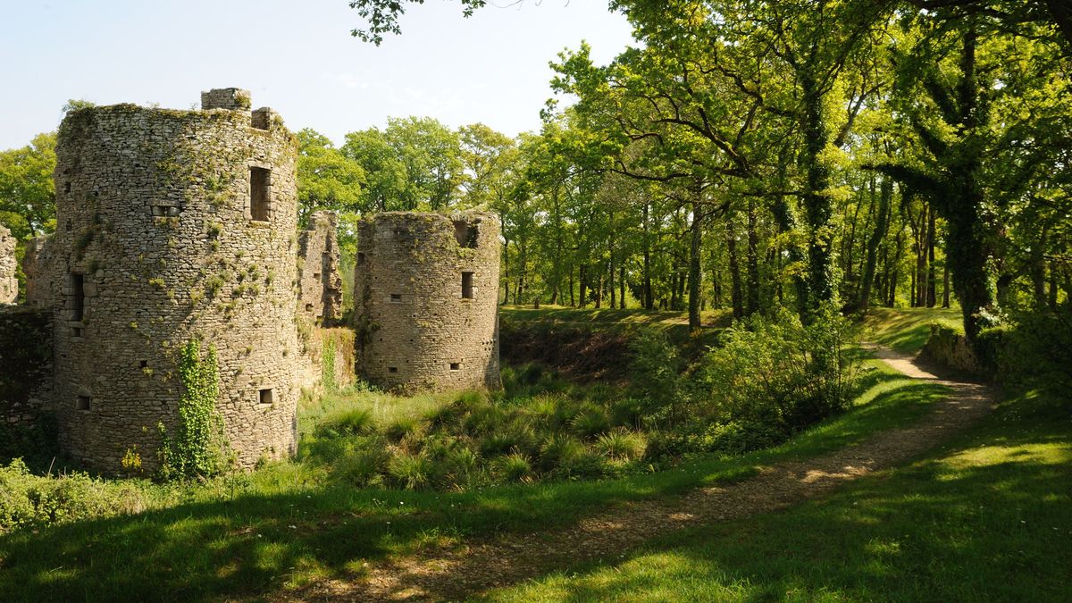 Tourisme En Presqu Ile De Guerande Le Chateau De Ranrouet Mis En Vente