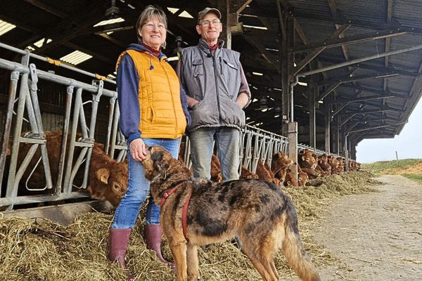 Martine et Pierre Jardin, agriculteurs à Brûlon, prendront leur retraite le 1er janvier 2025.