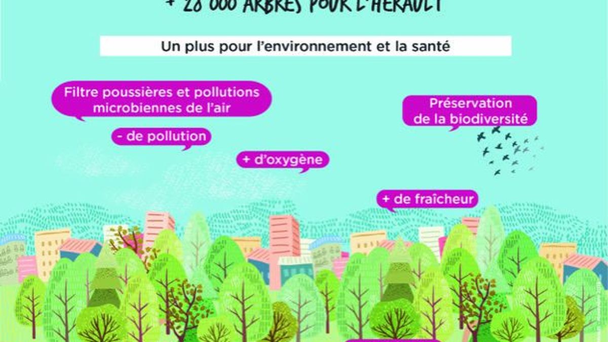 Environnement Dans L Herault On Peut Parrainer Gratuitement Un Arbre Dans Plus De 200 Communes