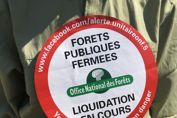 "Forêts publiques fermées" : une action menée par l’intersyndicale de l’ONF