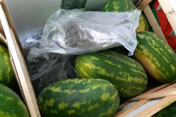 Lyon : le chargement de pastèques cachait 403 kg de cannabis