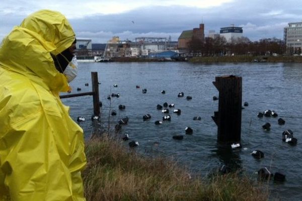 140 fûts symbolisant les 140 emplois menacés ont été jetés dans le Rhin