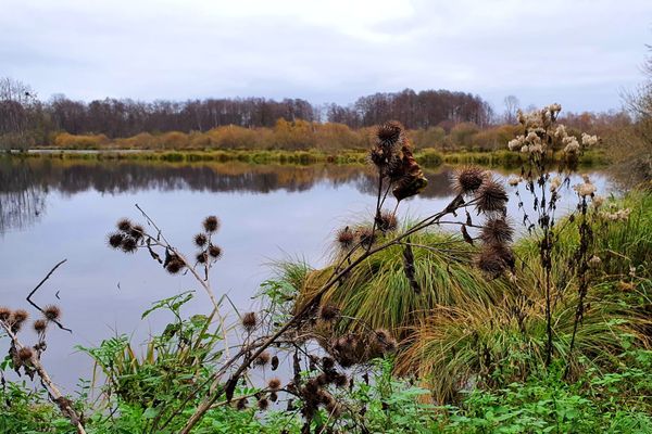 L'un des plans d'eau des tourbières de la Bar dans les Ardennes