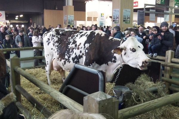 Aronde, vedette du salon de l'agriculture 2013