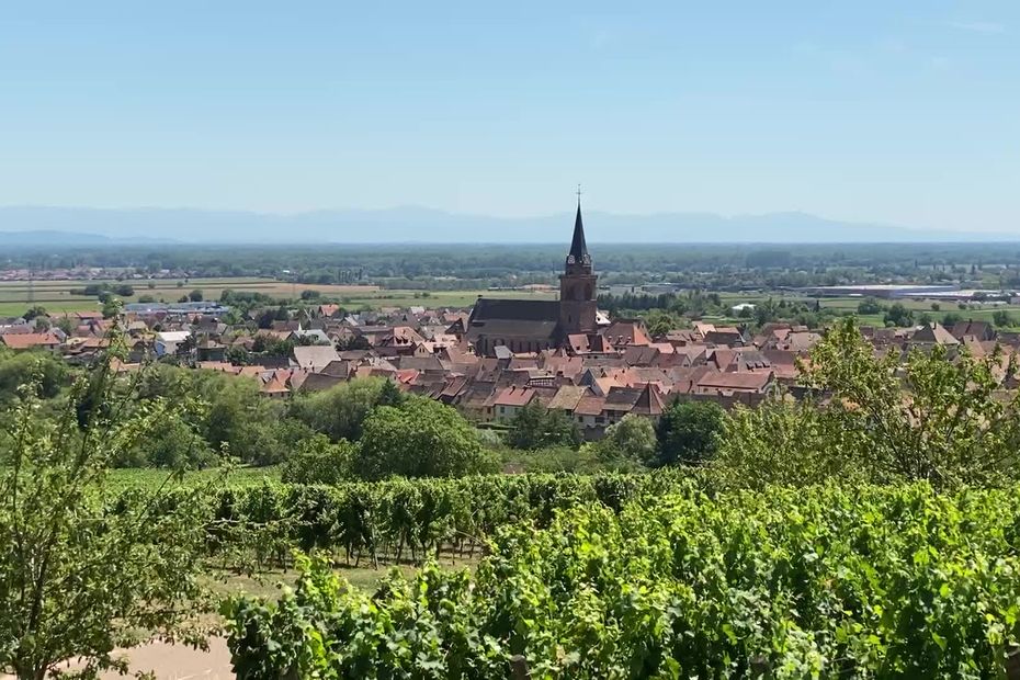 Bioseau disponible à partir du 03 juillet en mairie - Ville de Bergheim