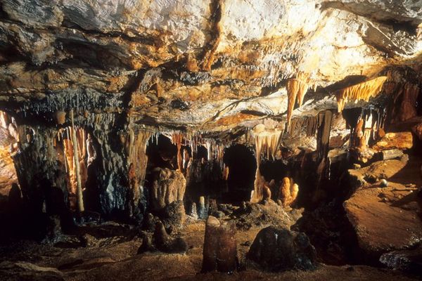 La grotte Cosquer, inaccessible au public, bientôt à la Villa Méditerranée.
