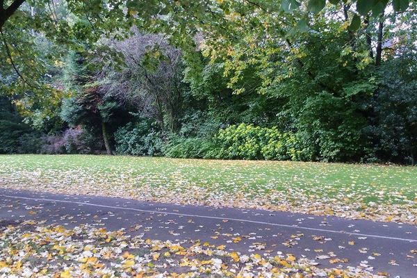 Vos photos d'automne illustrent la météo : Marcq le 14 octobre