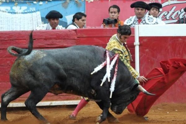 Le week-end mexicain de Morante : peu de chance et beaucoup de torería