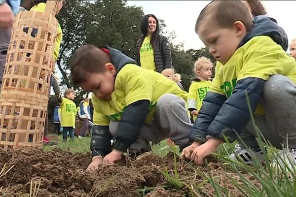 Les petits mettent la main dans la terre, pour planter leurs arbres