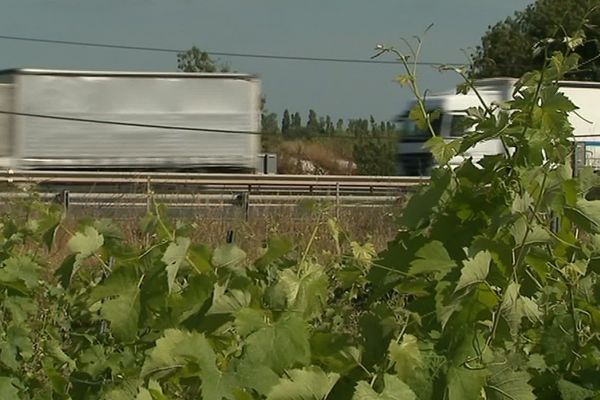 Certains des vignobles AOC Languedoc des Côteaux de la Méjanelle ont déjà subi le doublement de l'autoroute A9 et le contournement ferroviaire de Montpellier. Ils risquent aujourd'hui de perdre plusieurs hectares de vignes avec le tracé routier du contournement Est de Montpellier.