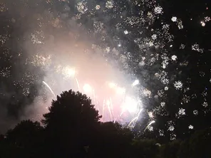 Le feu d'artifice du 14-Juillet tiré depuis le parc Jean-Verhlac, dans le quartier de la Villeneuve, à Grenoble.