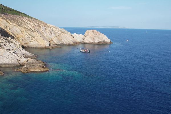 Le réchauffement de la mer Méditerranée bouleverse son écosystème