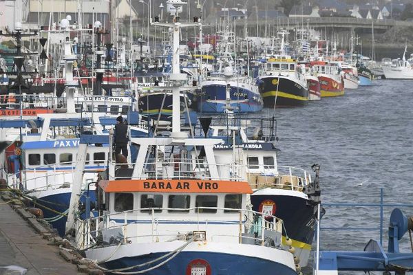 Les bateaux de pêche dans le port du Guilvinec - février 2017