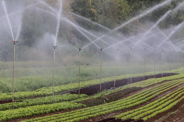 En raison de l'alerte sécheresse, seuls les prélèvements d'eau indispensables sont autorisés sur plusieurs secteurs de la Sarthe.