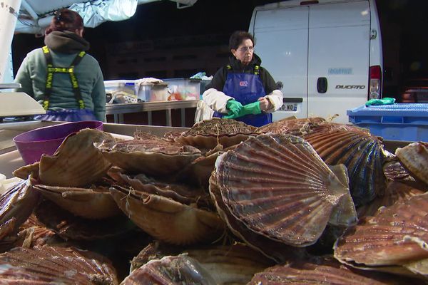 Plus de 4000 tonnes de coquilles ont transité par Dieppe en 2022.