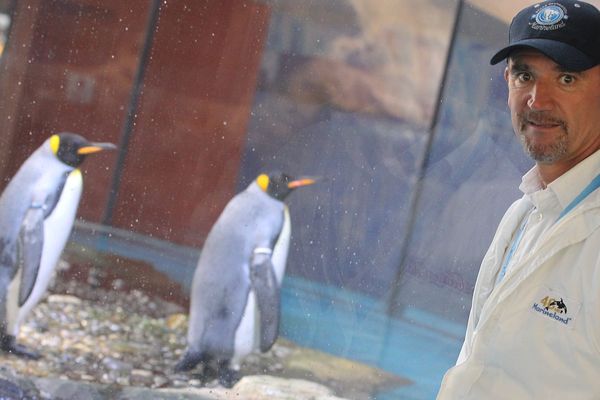 Bernard Giampaolo, directeur du Marineland d'Antibes part en Italie (archives). 