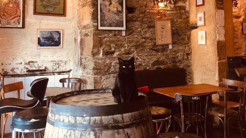 Nantes Le Bar Le Chat Noir Se Deconfine Et Sort Doucement Les Griffes Face A La Prefecture