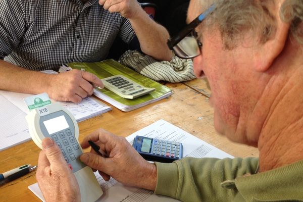 Des centaines d'acheteurs participent actuellement à la vente des lots de bois de la forêt de Tronçais organisée par l'ONF