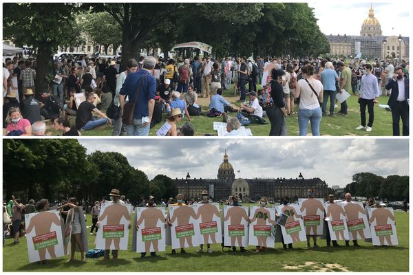 Quelques centaines d'agriculteurs bio se sont rassemblés ce 2 juin près des Invalides à Paris pour dénoncer les nouveaux arbitrages du ministre de l'Agriculture.