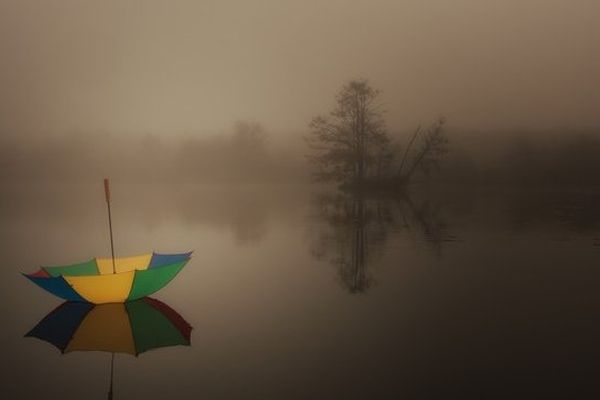 Point de vue image du monde : un parapluie flottant à la dérive, volonté de beau temps ou monde à l'envers ?