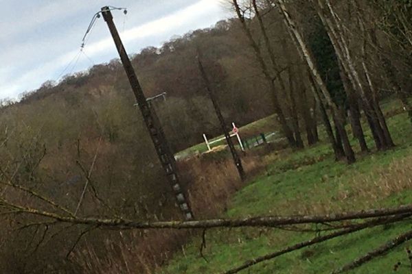 Des arbres sont tombés sur les lignes électriques à Pierre-la-Treiche.