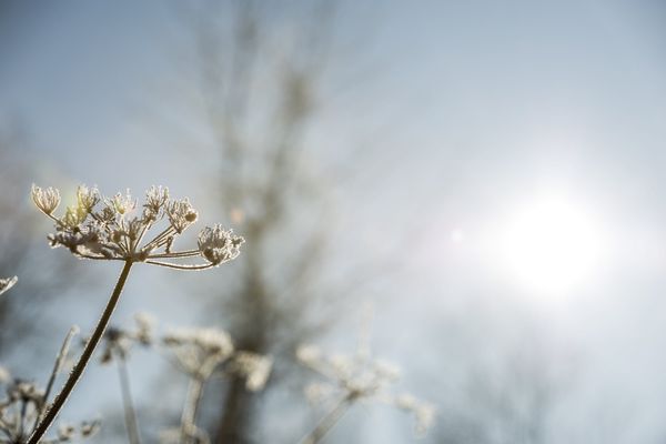 Les prévisions météo de ce lundi 8 janvier 2024.