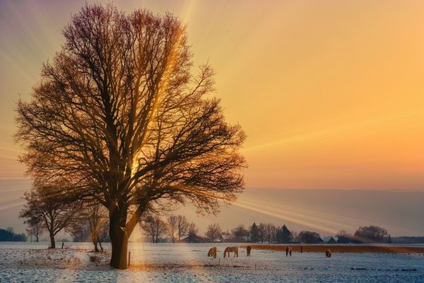 froid le matin, lumineux en journée