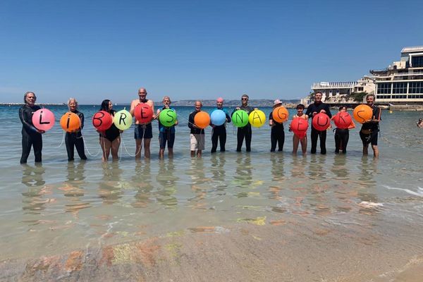 Les nageurs se sont donné rendez-vous aux Catalans, dans l'eau, pour manifester.